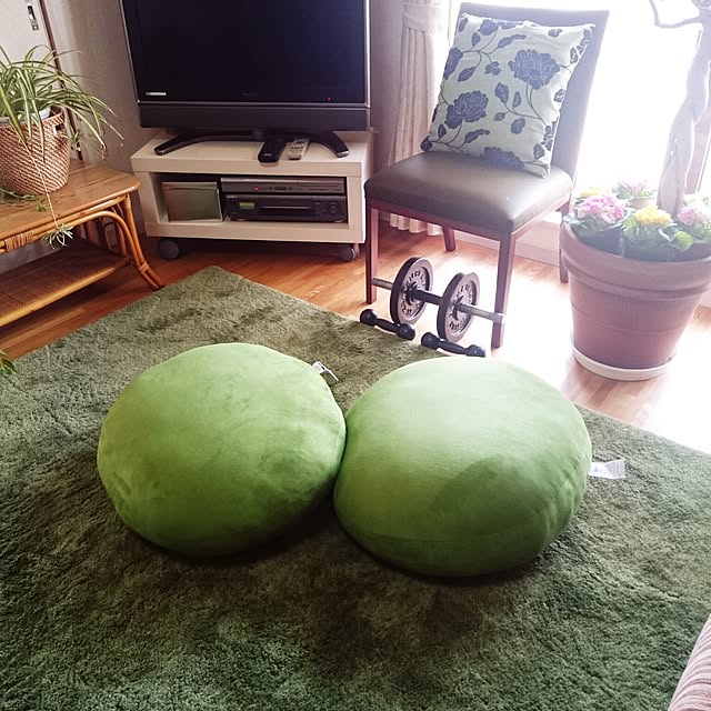 vanillaさんの実例写真
