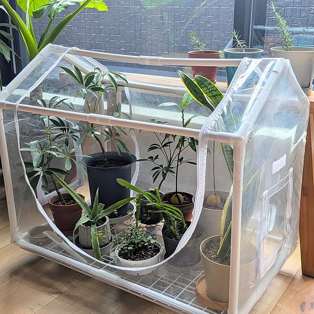 _222222さんの実例写真