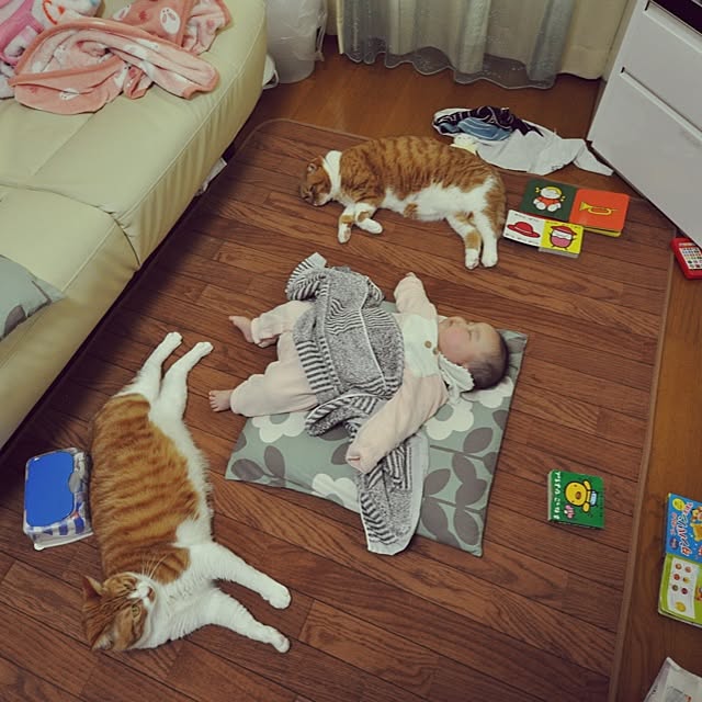 pikkariさんの実例写真