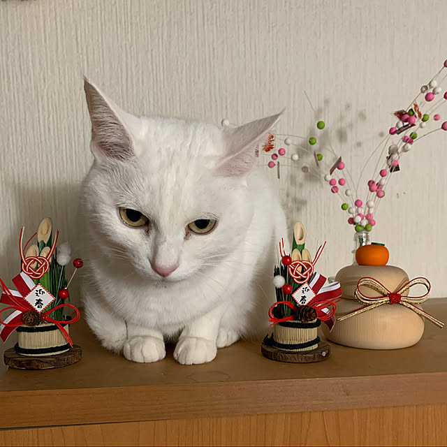 kuntaさんの実例写真