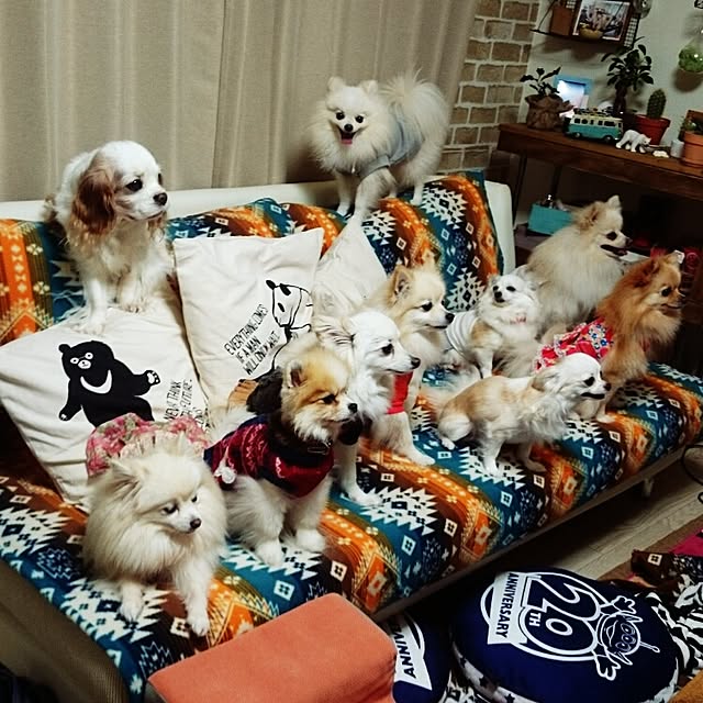 yukaさんの実例写真