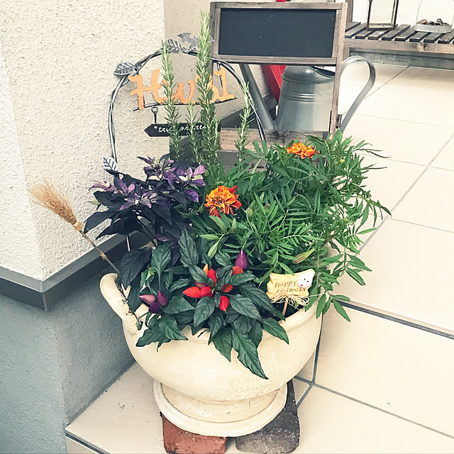 home.kさんの実例写真