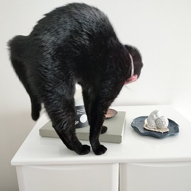 sakuraさんの部屋