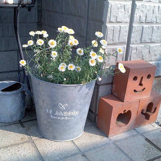 Mikaさんの実例写真
