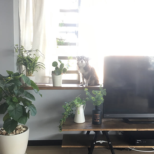 sakkiy37さんの実例写真