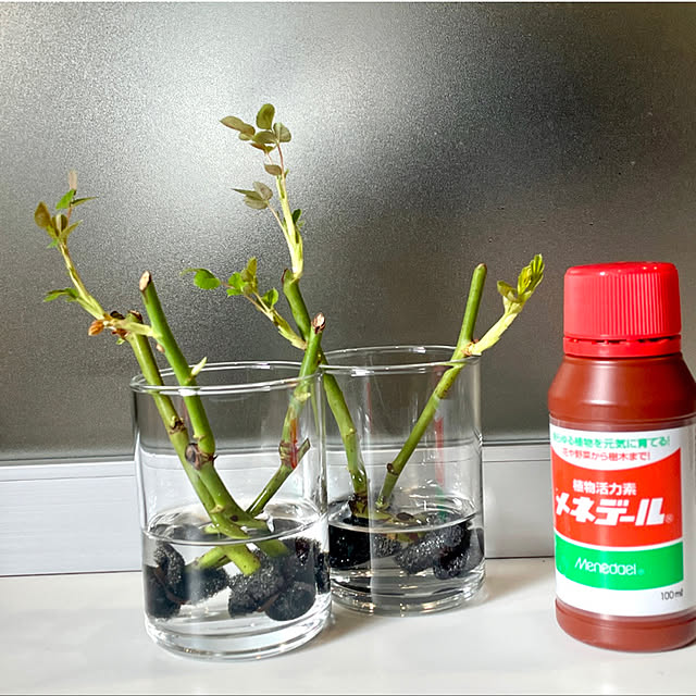 SIELUさんの実例写真