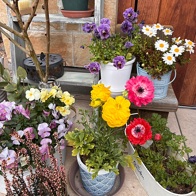 ayayayayaさんの実例写真