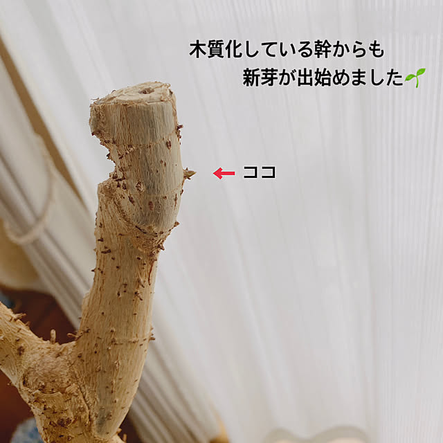 yukaさんの部屋