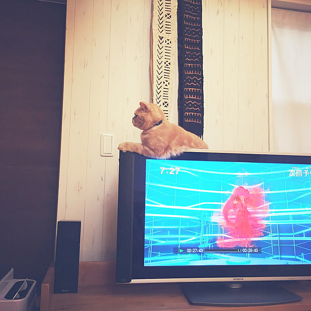 cocoさんの実例写真