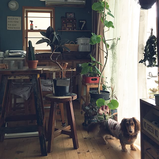 yupponさんの実例写真
