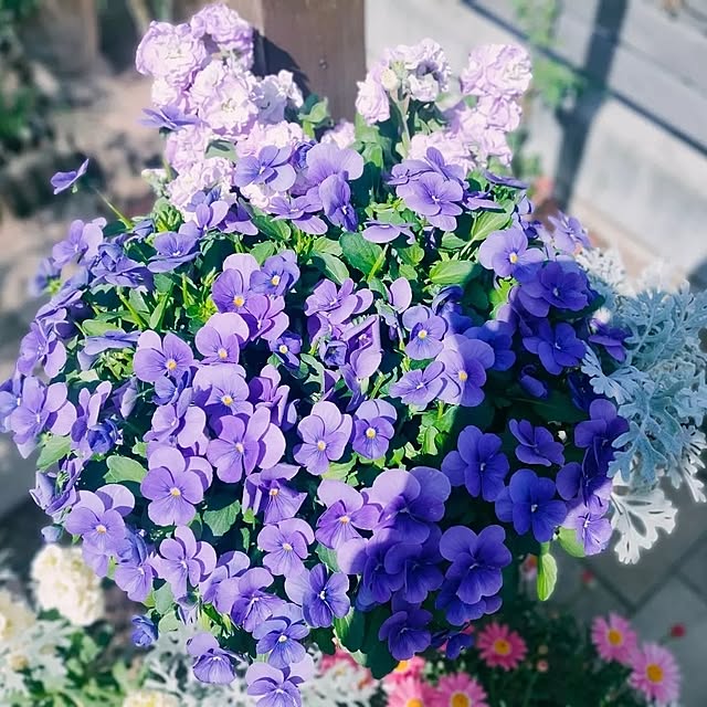 ryomomさんの部屋