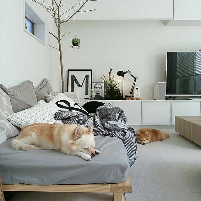 mi-さんの実例写真