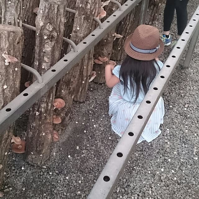 M_house_officialさんの実例写真