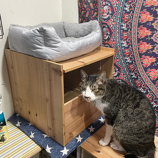 coolcats0528さんの部屋