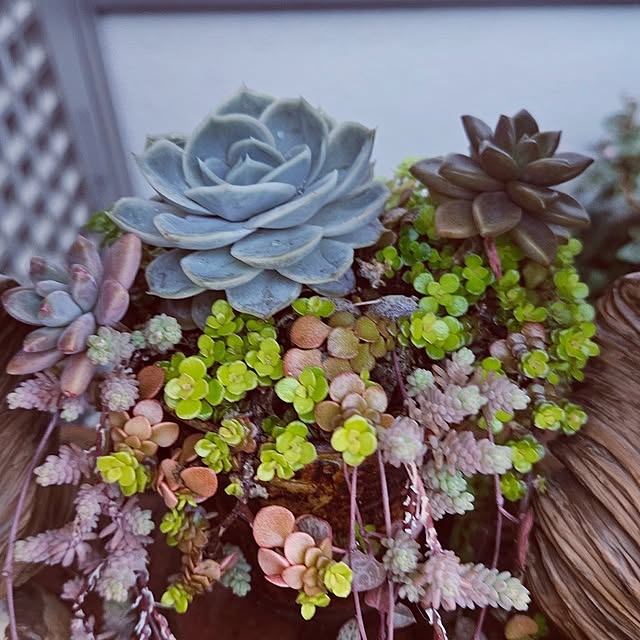 mocomocoさんの部屋