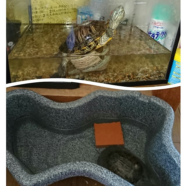 yuukyさんの実例写真