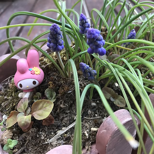 miemekkoさんの実例写真