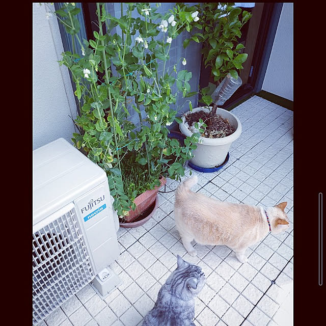 mntcさんの実例写真