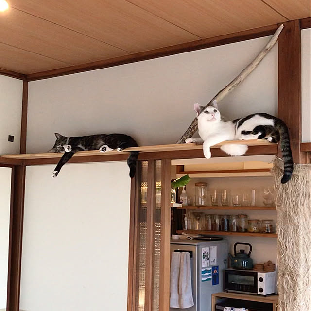 UniTaraさんの実例写真