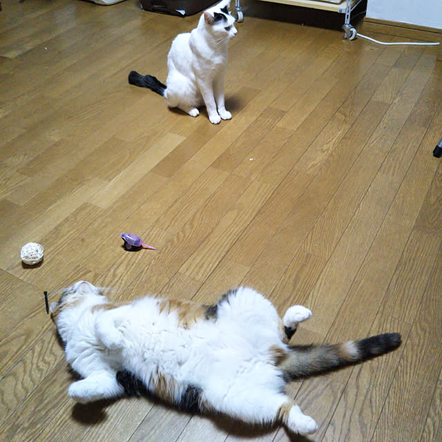 yukieさんの実例写真