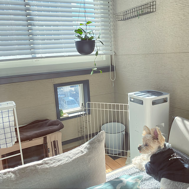 pocoさんの実例写真