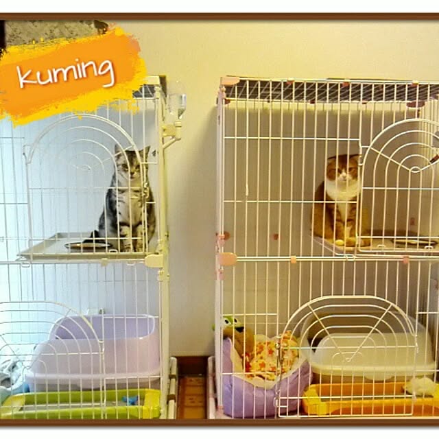 kumingさんの実例写真