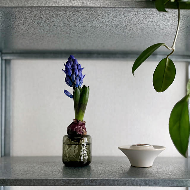 moon.mさんの実例写真