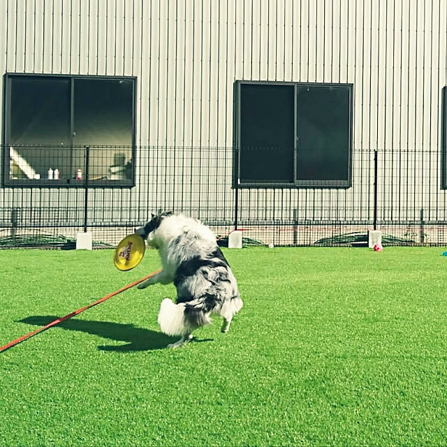 koteriinaさんの実例写真