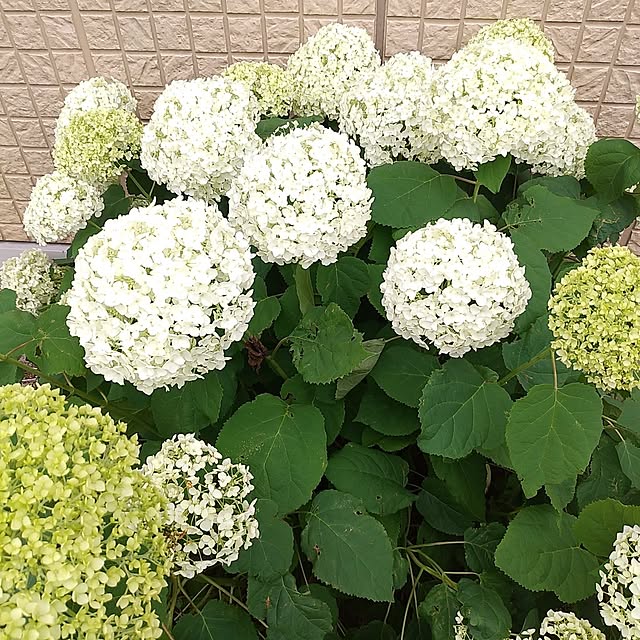 naoさんの部屋