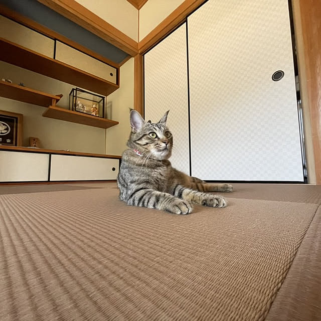 nonchanさんの実例写真