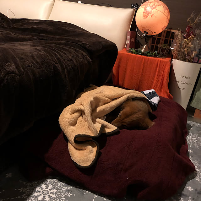 noma--1202さんの実例写真