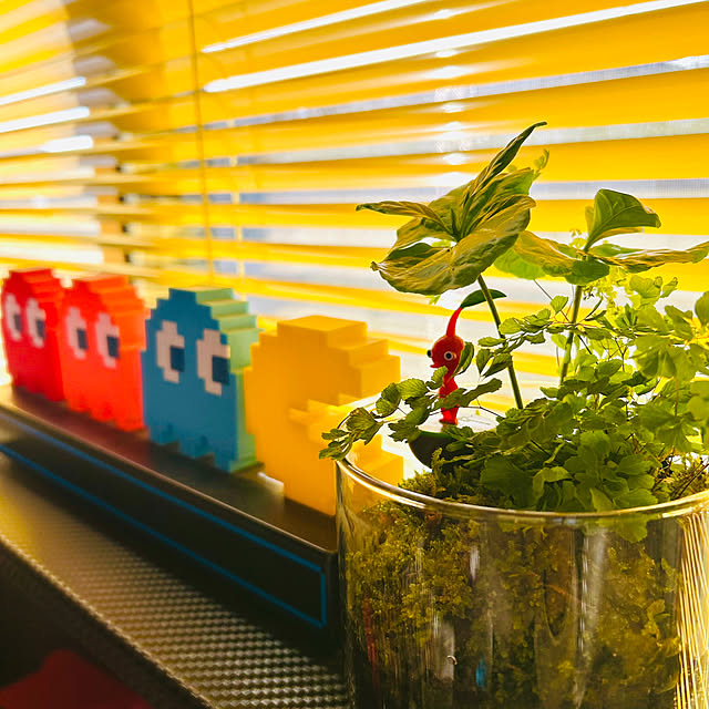 J_smileさんの実例写真