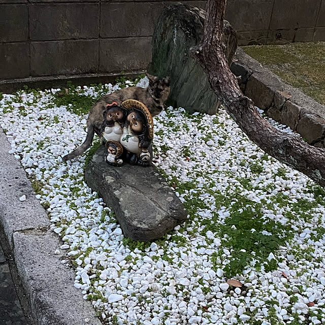 uninekoさんの実例写真