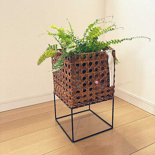 dmamaさんの実例写真