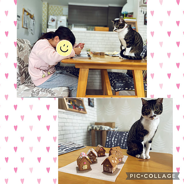 ippu0303Karinさんの実例写真