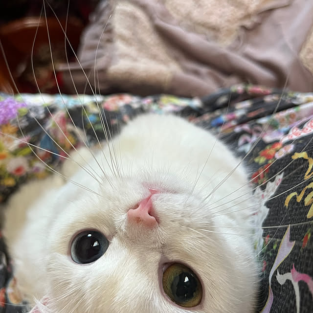AYUKOさんの部屋