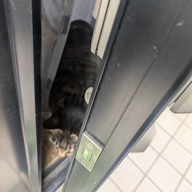 mori_6_12さんの実例写真