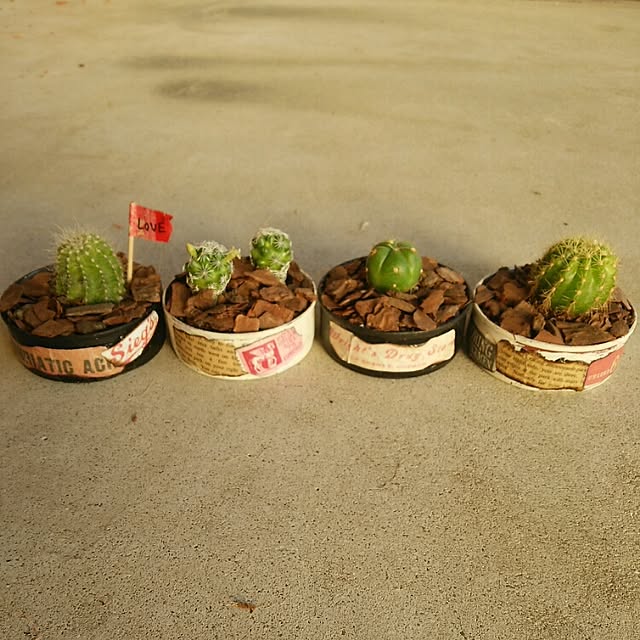 srjnysrさんの実例写真
