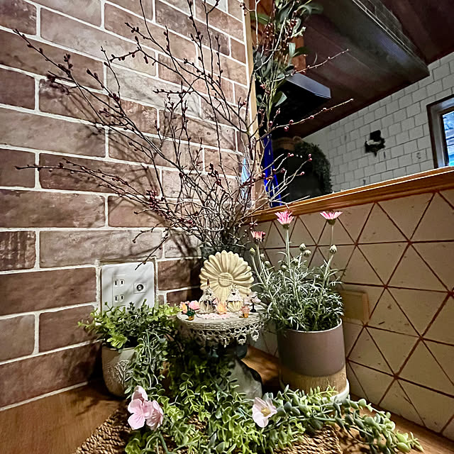 cotaさんの部屋