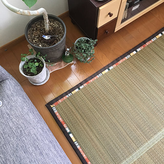y---iさんの実例写真