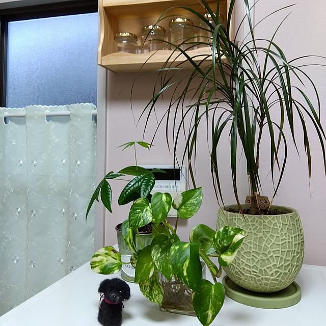 chuさんの実例写真