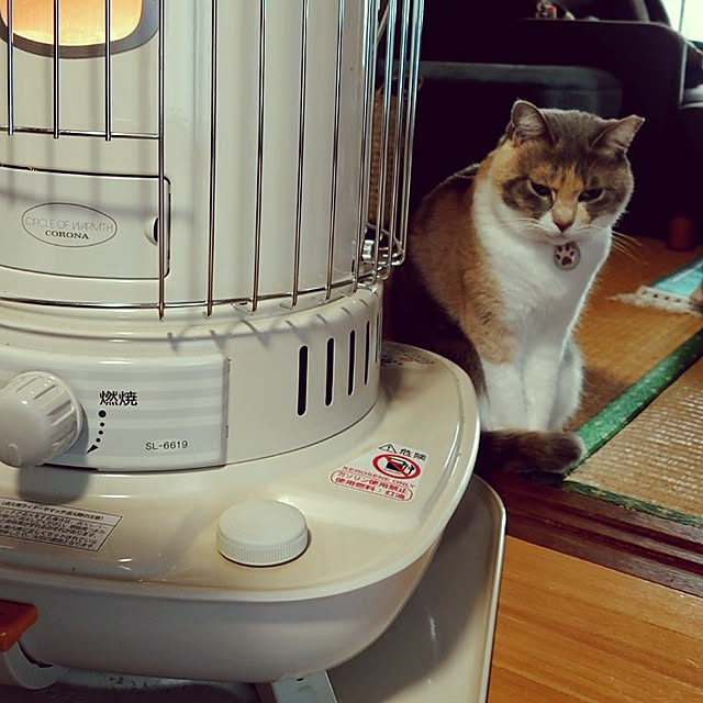 fukuさんの実例写真