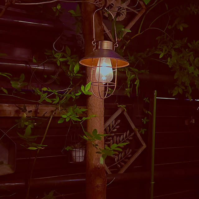 chacoさんの部屋