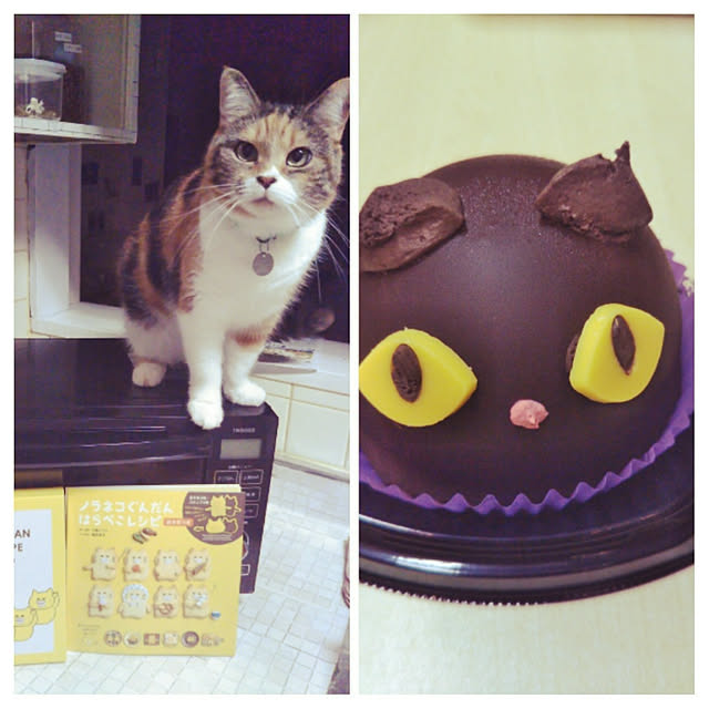 yukieさんの実例写真
