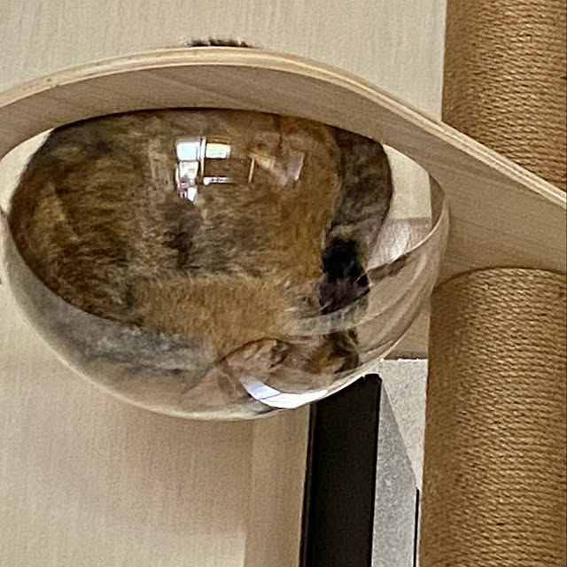 keibooさんの実例写真