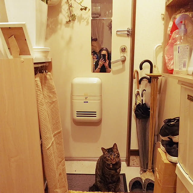 lotusさんの実例写真