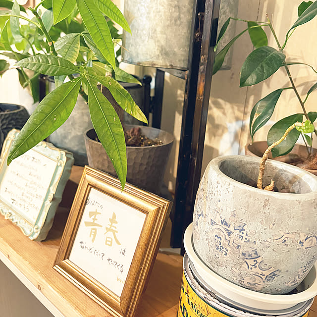 hirariさんの部屋