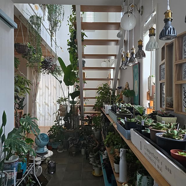 nonbiri_house_さんの実例写真