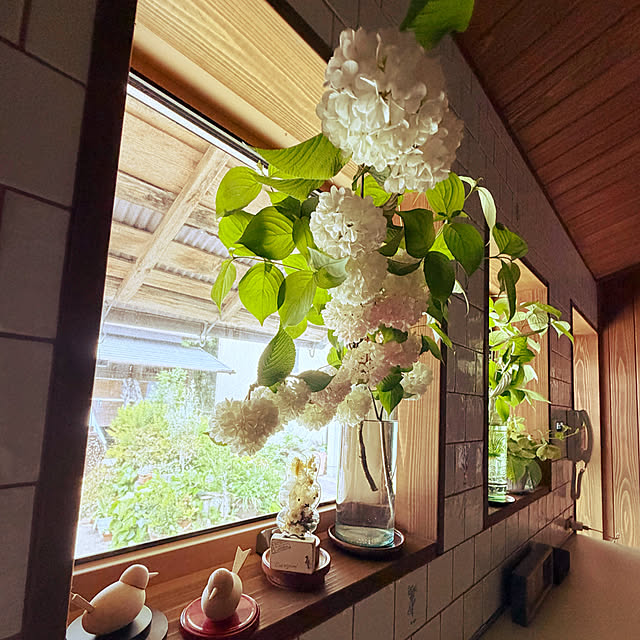 cotaさんの部屋
