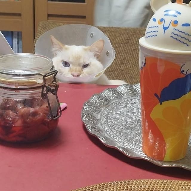 Yさんの実例写真